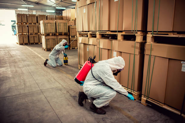 Best Ant Control Services  in Dekal, IL