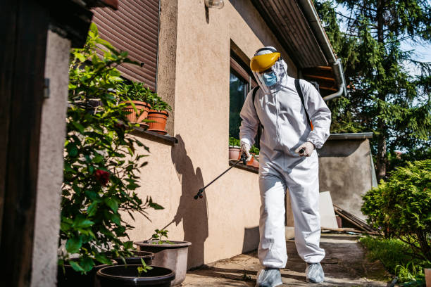 Best Rat Extermination Near Me  in Dekal, IL