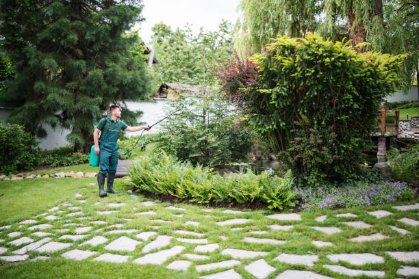 Best Best Pest Control Near Me  in Dekal, IL
