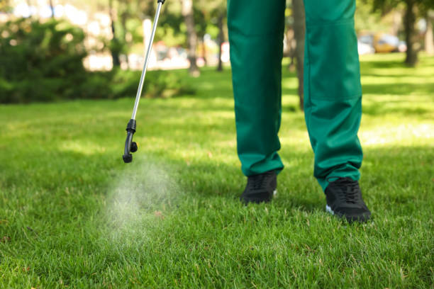 Best Pest Control for Businesses  in Dekal, IL