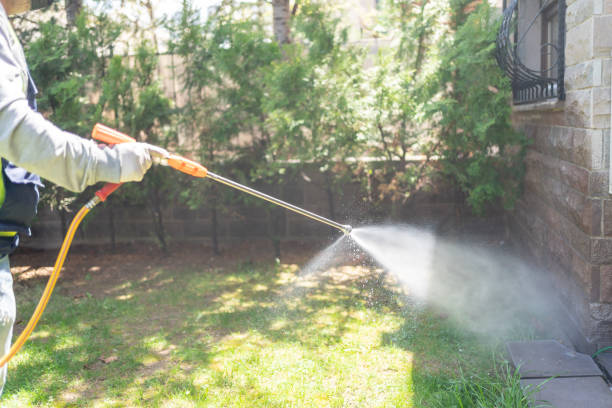 Reliable Dekal, IL Pest Control Solutions
