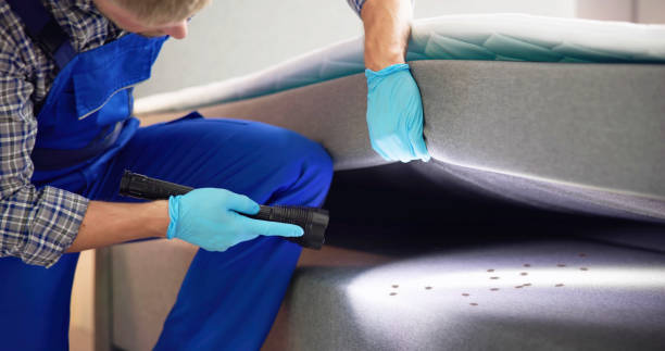 Best Wasp Removal Services  in Dekal, IL