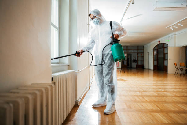 Best Affordable Pest Control Services  in Dekal, IL
