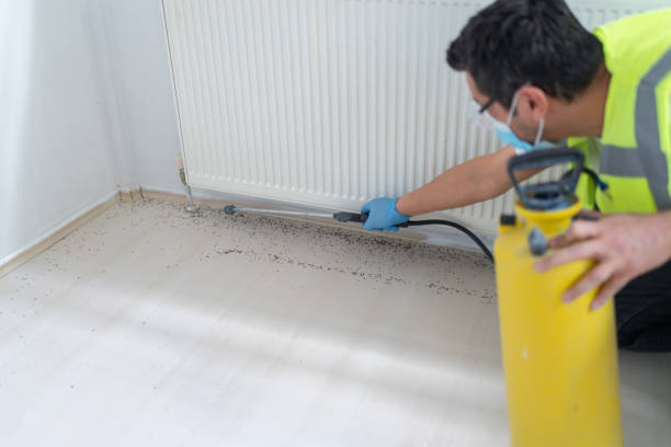 Best Emergency Pest Control  in Dekal, IL