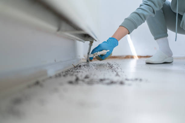 Best Pest Removal Services  in Dekal, IL